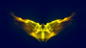 a picture of a yellow bird with wings